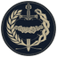 PNSD Logo